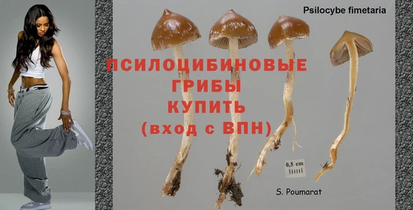 метадон Няндома