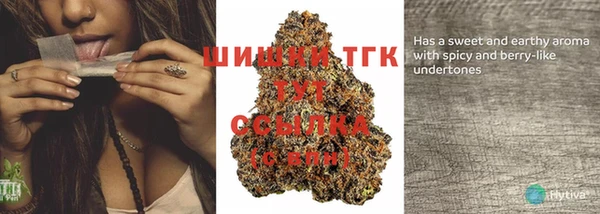 метадон Няндома