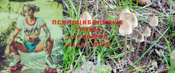 гашик Нязепетровск